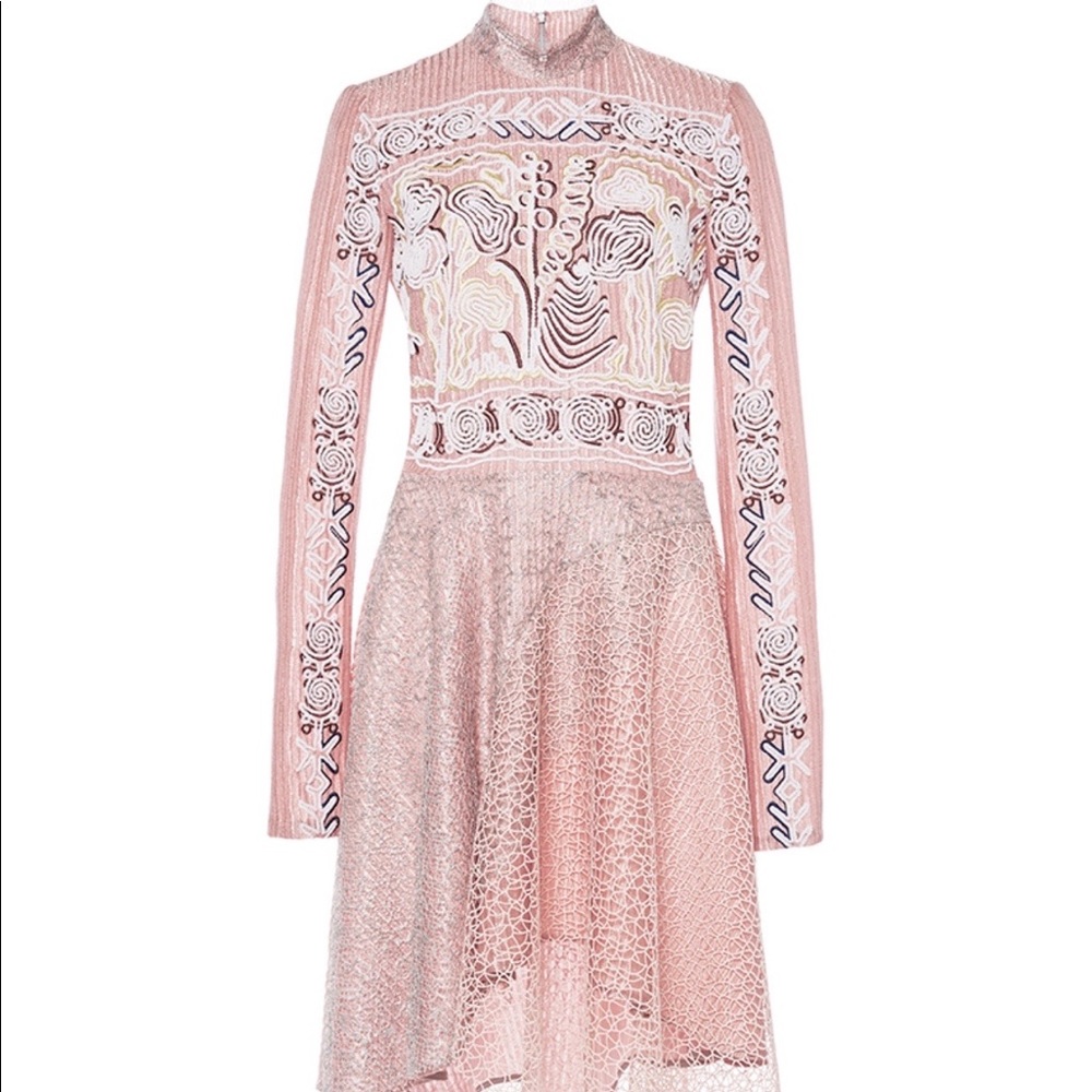Peter Pilotto Jersey & Lace Embroidered Dress